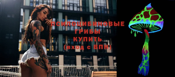 сатива Верхнеуральск