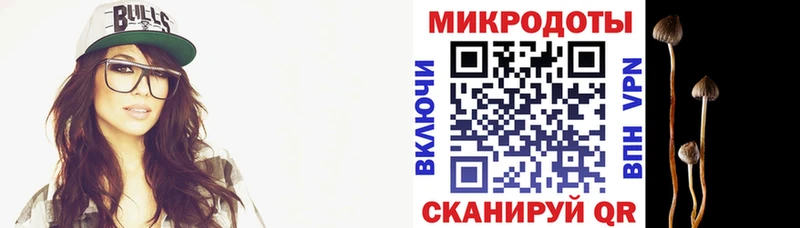 Псилоцибиновые грибы Cubensis  сколько стоит  Чишмы 